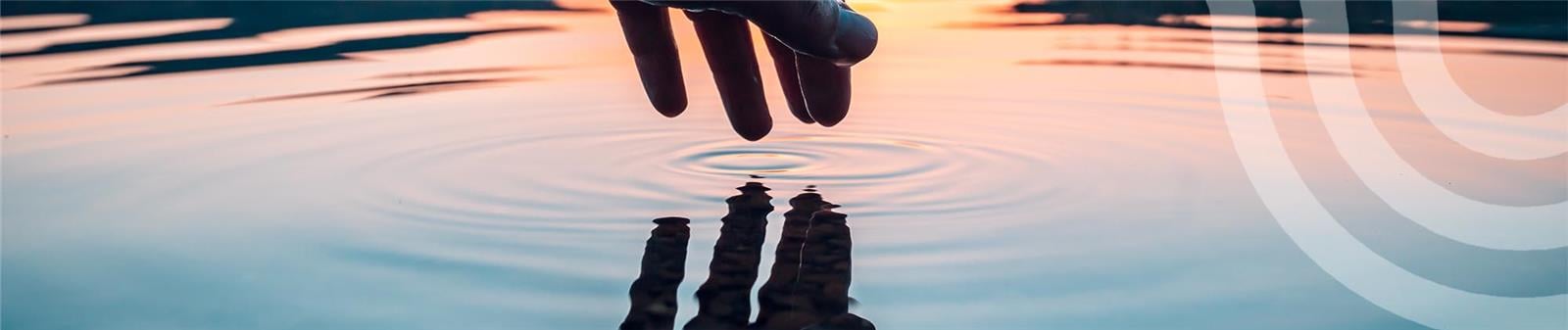 collaborateurs passsionnes