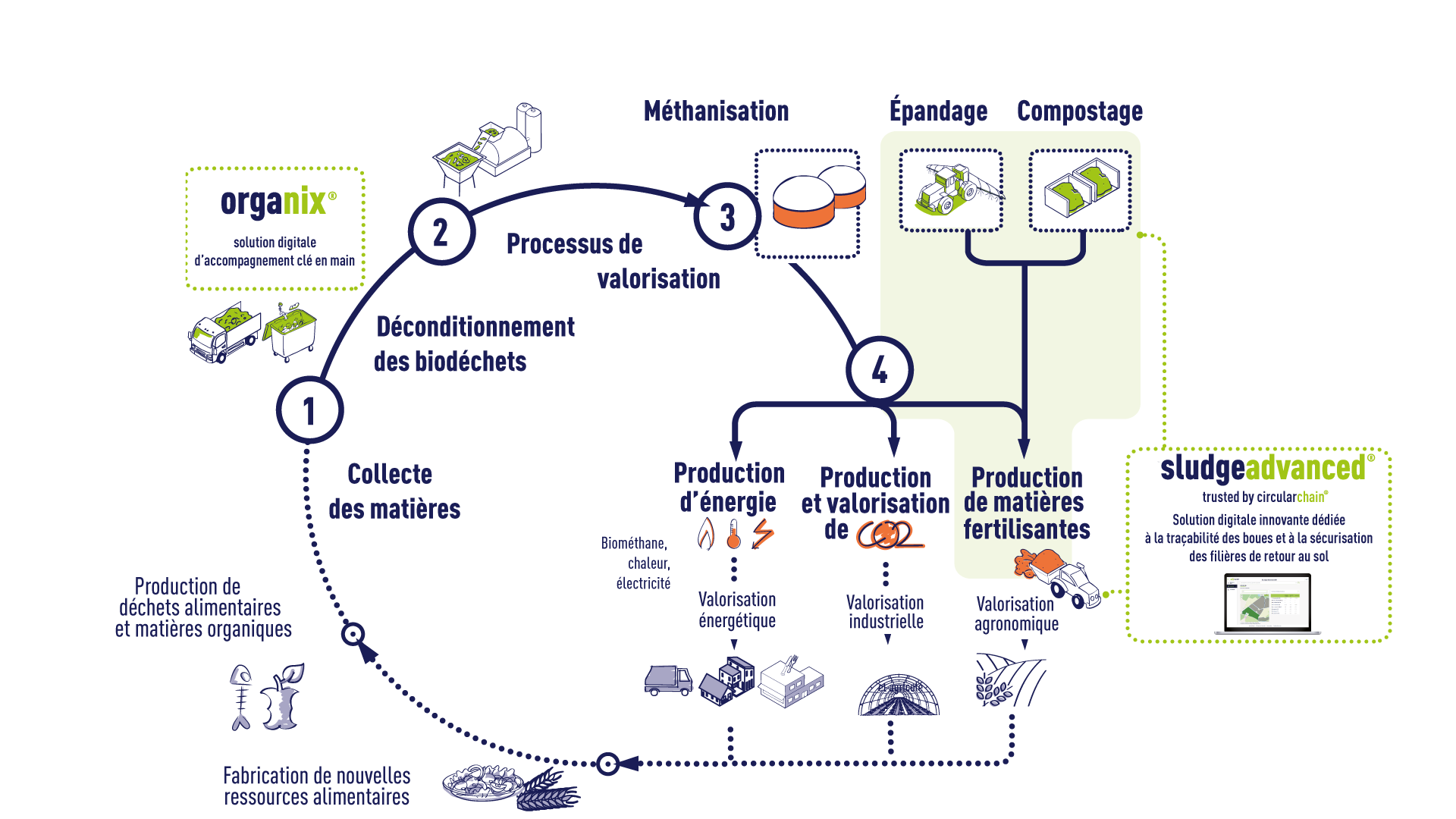 Légende du schéma : Découvrez les 4 grandes étapes de la chaîne de valorisation des déchets alimentaires Les aliments sont d’abord produits puis consommés par la population en France. Cette consommation génère des déchets alimentaires. Si ils sont triés à la source les déchets alimentaires peuvent être valorisés. SUEZ accompagne les collectivités dans la mise en place des solutions faciliter le tri des déchets alimentaires aux usagers Etape 1 : lorsque le tri est mis en place dans les villes, SUEZ peut aussi assurer la collecte des déchets alimentaires (collectes en porte à porte, solutions d’abris-bacs pour de l’apport volontaire…). Plusieurs moyens de collecte existent : camion hayon, camion benne laveuse, collecte à vélo Etape 2 : pour être valorisés, les déchets alimentaires qui sont encore emballés, rebuts ou invendus doivent être déconditionnés. C’est l’étape du déconditionnement : il s’agit d’un traitement mécanique qui sépare les emballages (métal, plastique, carton, …) de la matière organique fermentescible. Cette étape n’est pas indispensable lorsque les déchets alimentaires sont déjà triés à la source et désemballés par les ménages, restaurateurs, cantines… Etape 3 : il y a deux solutions principales de valorisation pour ces déchets alimentaires : le compostage ou la méthanisation. Le compostage : procédé biologique entièrement naturel qui consiste à faire fermenter les biodéchets en présence d’humidité et d’oxygène. La méthanisation c’est la transformation de la matière organique fermentescible en biogaz et en digestat par un procédé biologique naturel en l’absence d’oxygène, dans un ouvrage étanche, agité et chauffé : le méthaniseur. Etape 4 : le compostage permet de produire du compost utilisé par les agriculteurs et paysagistes de proximité en amendement organique. La matière organique qu’il contient permet d’amender les sols et d’apporter des éléments nutritifs indispensables aux plantes en substitution aux engrais chimiques. La méthanisation permet de produire du biogaz qui est valorisé sous différentes formes : la production de chaleur (chaudière), la cogénération (production conjointe d’électricité et de chaleur), la transformation en biométhane par épuration (retrait du CO2 pour ne garder que le méthane CH4) pour injection dans le réseau de gaz naturel et utilisation comme combustible ou biocarburants (BioGNV) pour alimenter les réseaux de chaleur urbains ou encore des flottes de véhicules et bus fonctionnant au gaz. Le digestat (matière organique issue du processus de méthanisation) est utilisé par les agriculteurs et paysagistes de proximité en épandage pour enrichir les sols en substitution aux engrais chimiques fossiles.