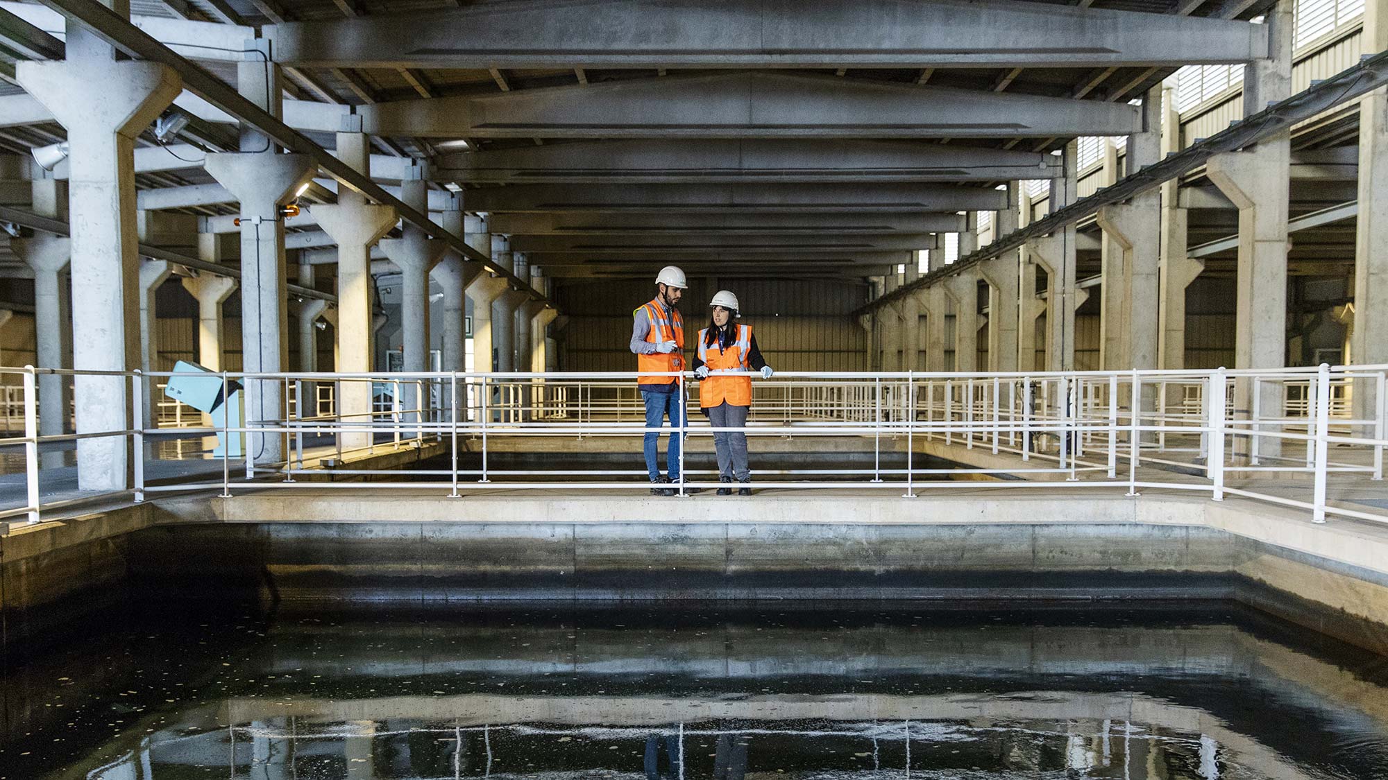 employes travaillant ensemble