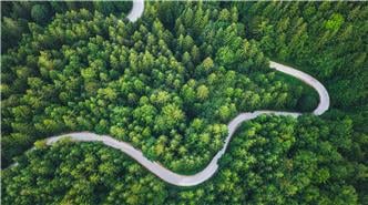 foret route