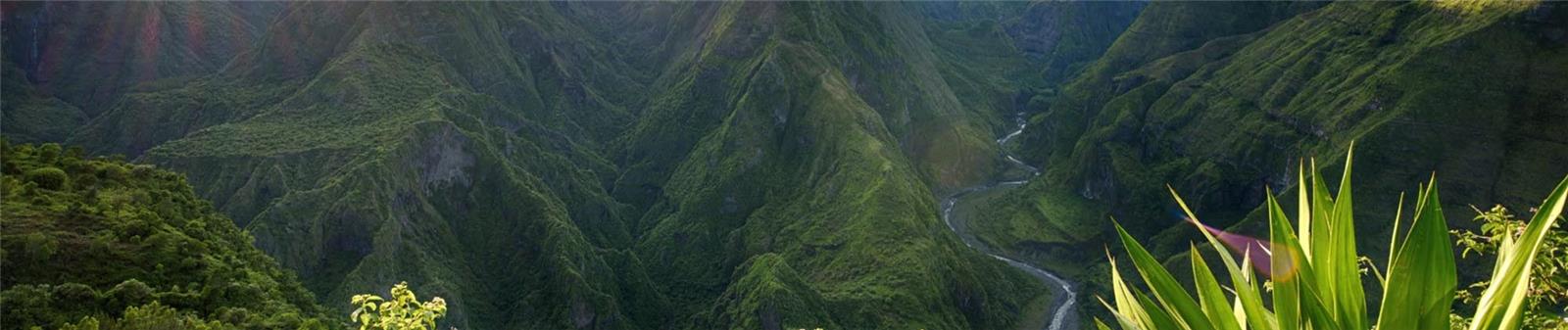 Paysage Ile de La Reunion