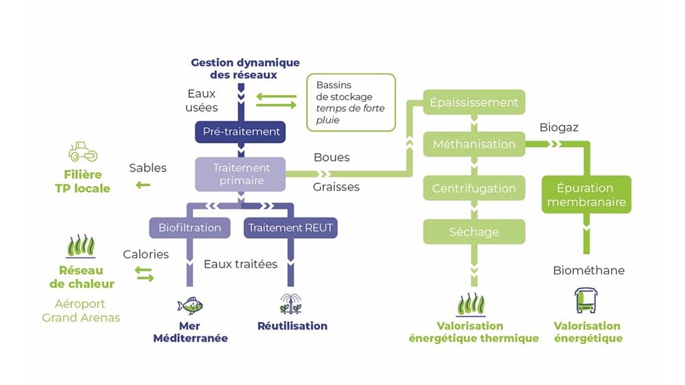 schema fonctionnement haliotis 2