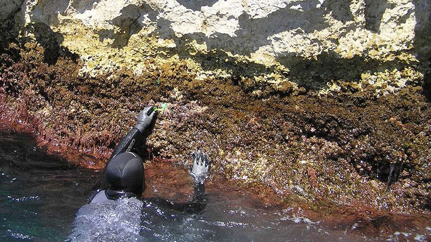 Restauration du littoral à Marseille