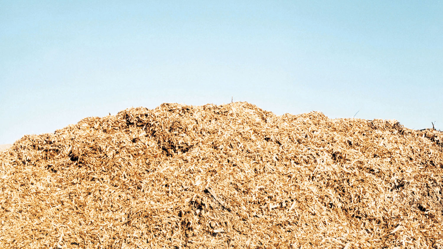 recyclage et valorisation des déchets