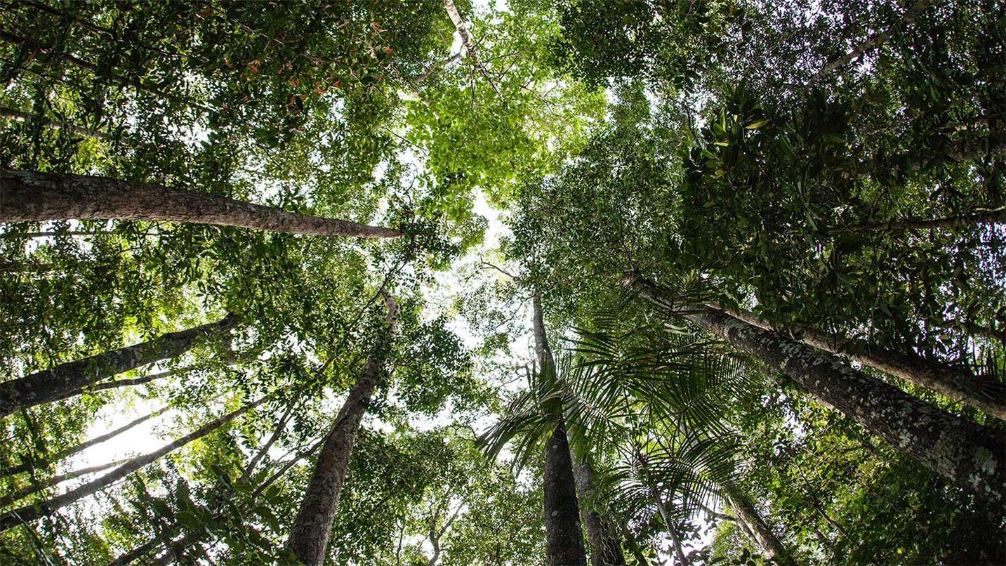 Against climate change