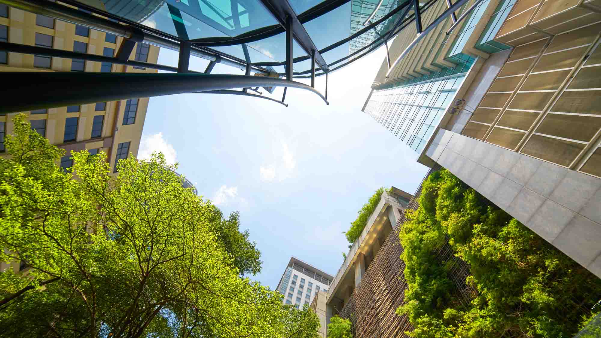 Header Local authorities