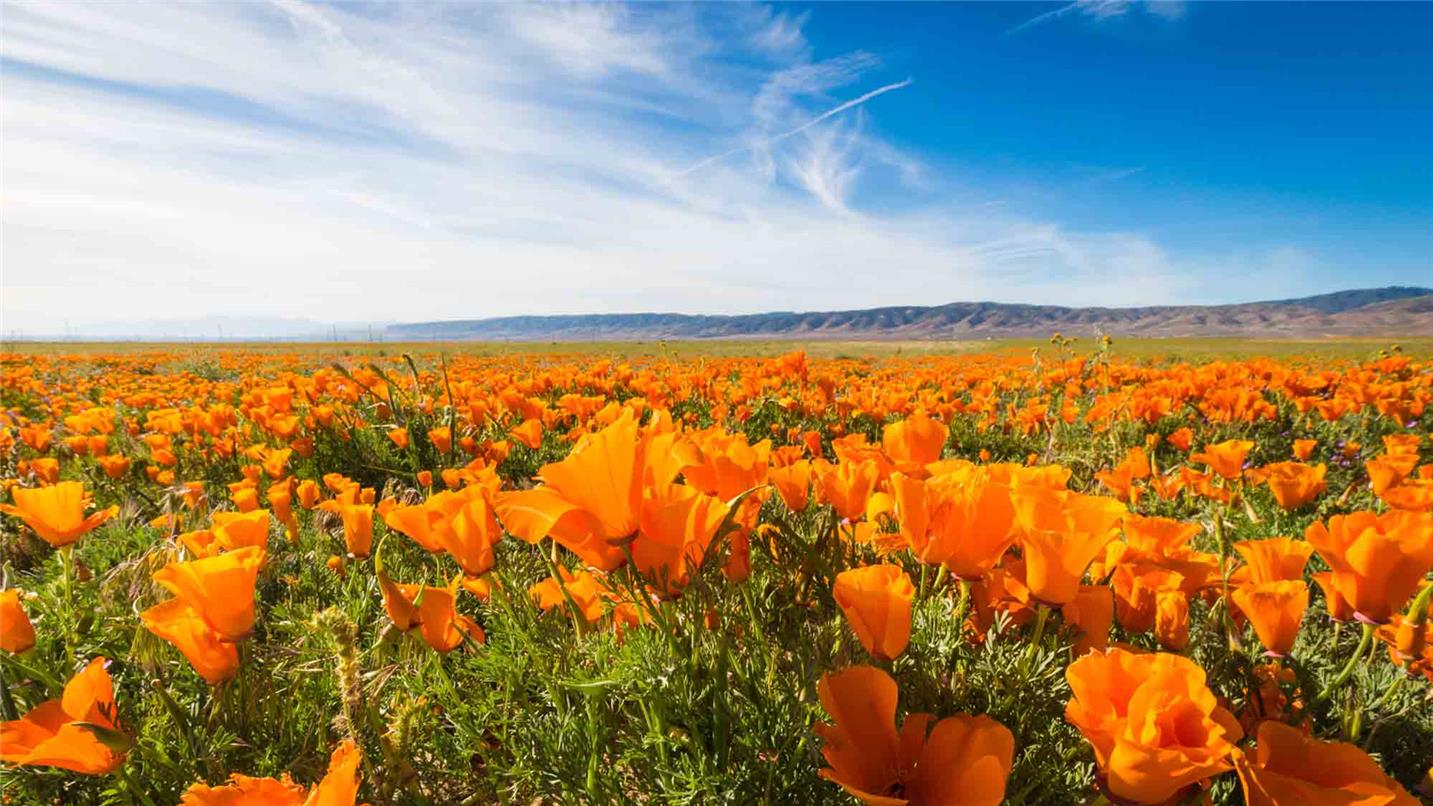 Header Our achievements