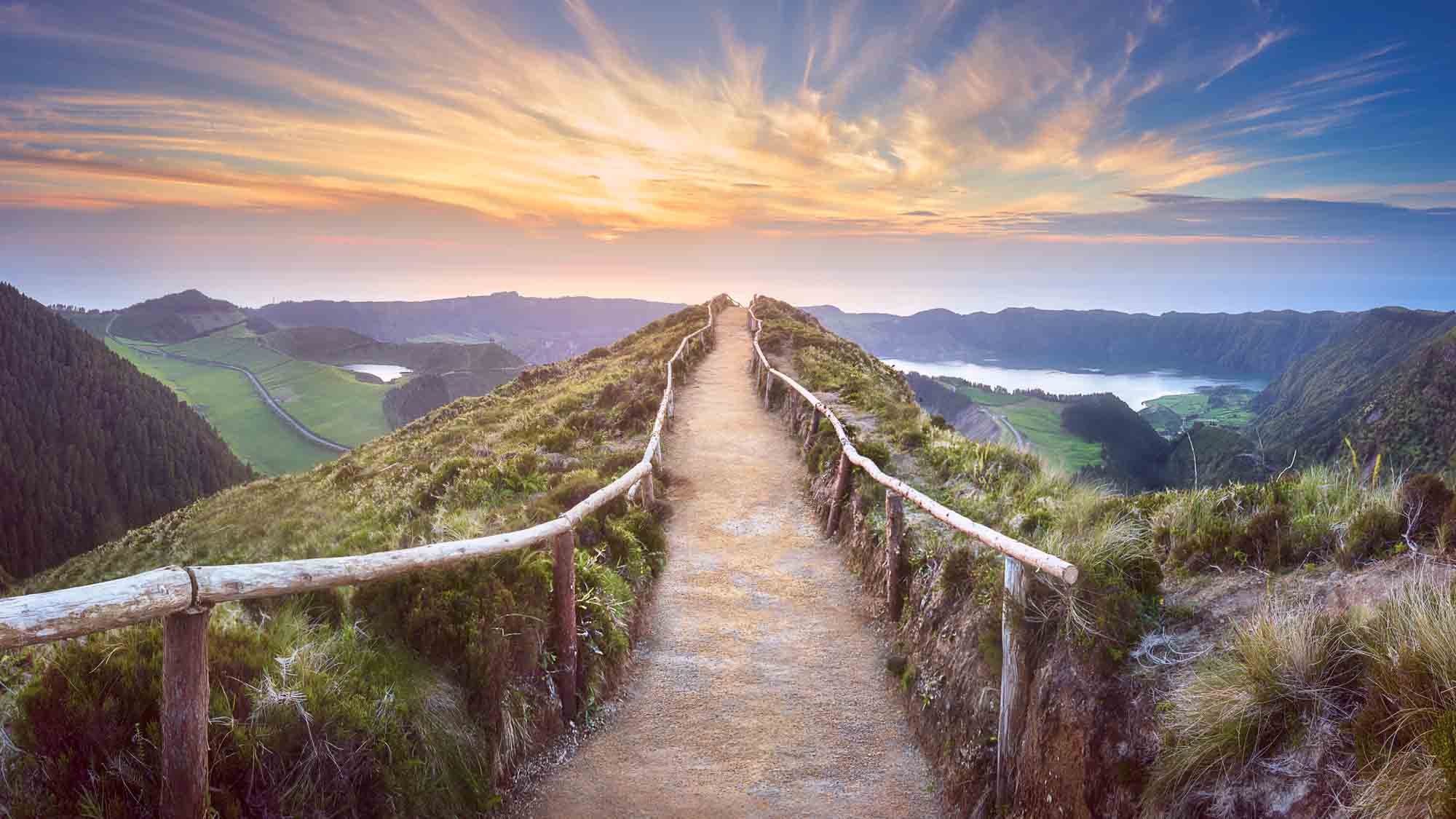 Header Our partnerships