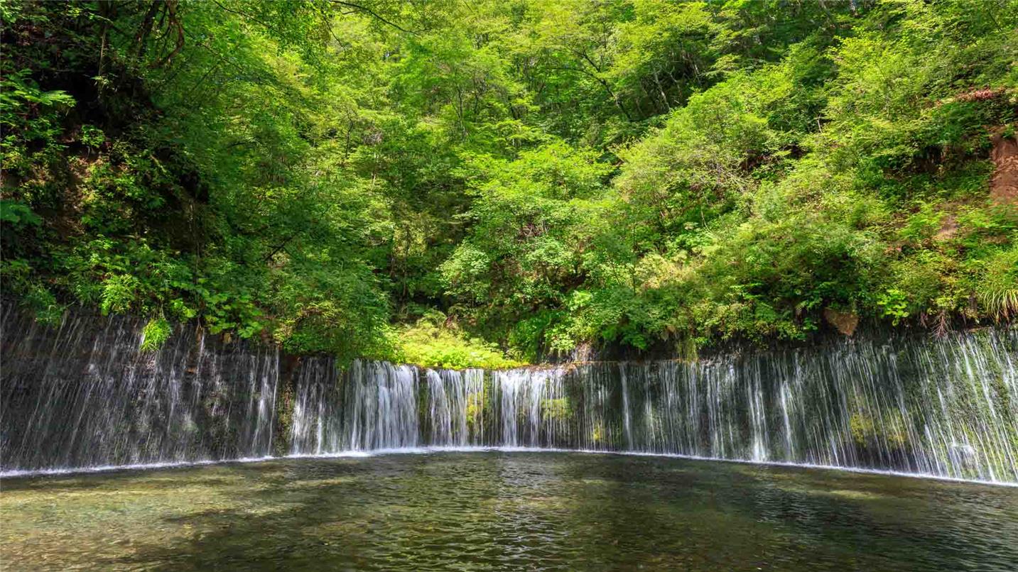 Header Performance management committee