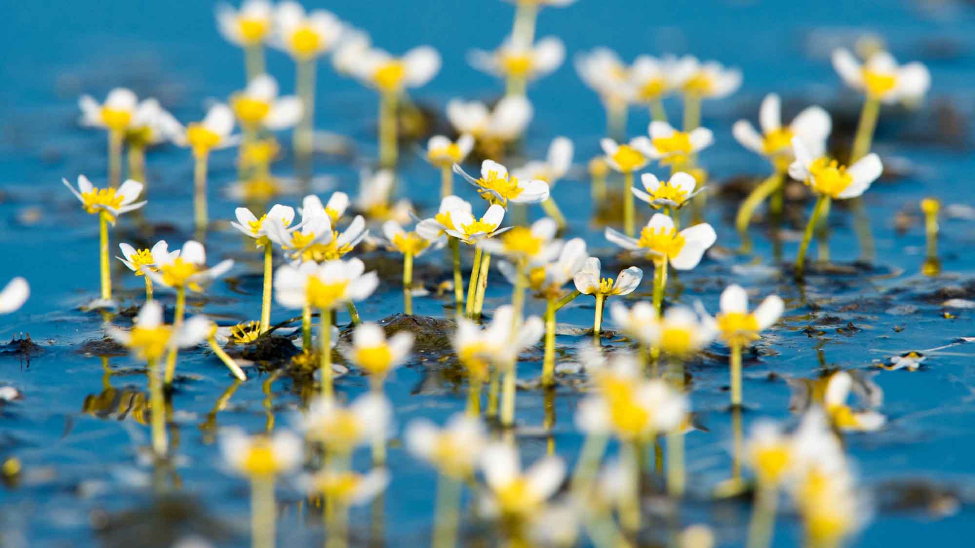 Header Reduce health env risks