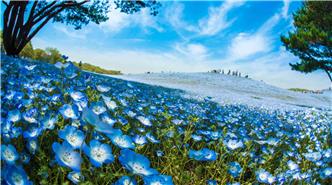 Header Research centers