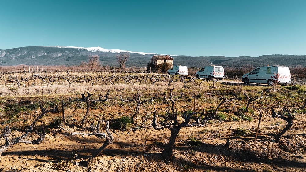 Vignes et vehicules